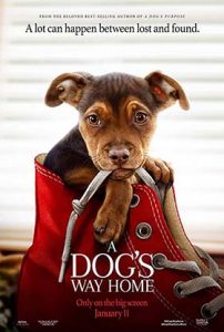 دانلود فیلم زیرنویس فارسی مسیر بازگشت یک سگ به خانه A Dog’s Way Home 2019