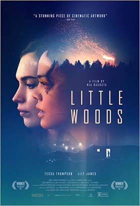 دانلود فیلم Little Woods 2018