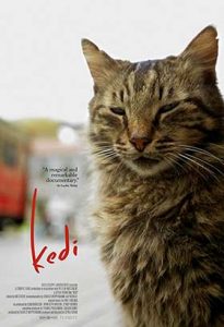 دانلود رایگان فیلم Kedi 2017