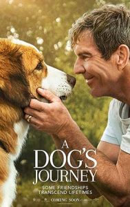 دانلود فیلم A Dogs Journey 2019 زیرنویس فارسی چسبیده