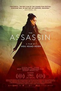 دانلود رایگان فیلم The Assassin 2015
