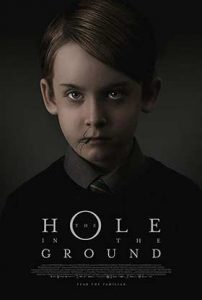 دانلود فیلم The Hole In The Ground 2019 زیرنویس فارسی چسبیده