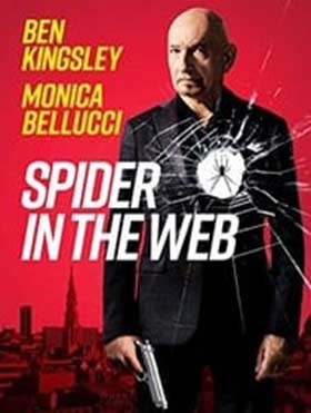 دانلود فیلم Spider In The Web 2019