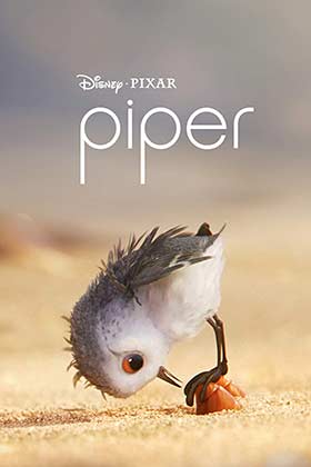 دانلود انیمیشن کوتاه Piper 2016