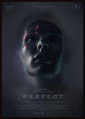 دانلود فیلم Perfect 2018