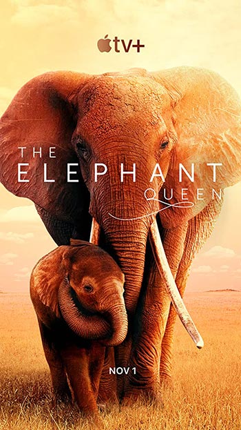 دانلود فیلم زیرنویس فارسی چسبیده ملکه فیل The Elephant Queen 2019