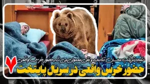 می دونستی خرس سریال پایتخت 7 واقعی بود؟