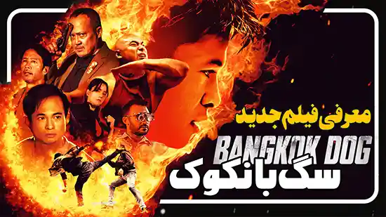 معرفی فیلم سگ بانکوک Bangkok Dog