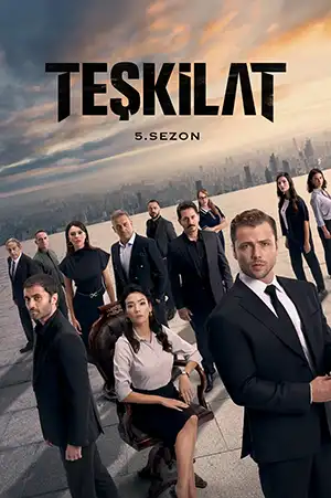 دانلود سریال The Shadow Team دوبله فارسی
